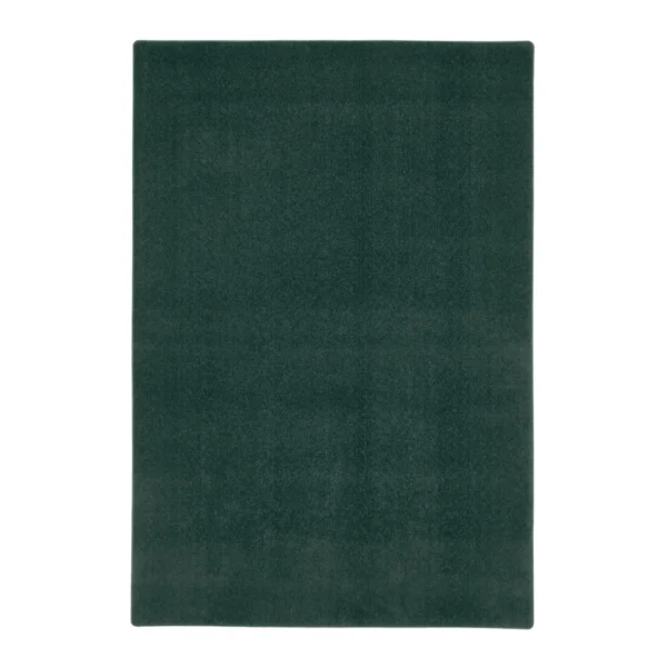 Tapis Lavable Salon Sense Vert
